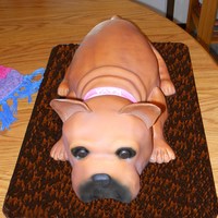 French Bulldog Cake French Bulldog Cake