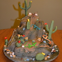 Snakes And Lizards Birthday Cake I made this cake for my son's 5th Birthday as he was having a reptile show that included snakes lizards and turtles. The cake was...
