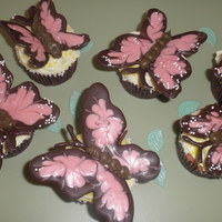 Butterfly Cupcakes Thank you "Hello Cupcake!"