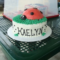 Ladybug Cake Everything made using buttercream.
