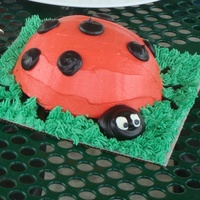 Ladybug Smash Cake Everything made with buttercream