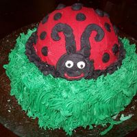 Lady Bug This ladybug is my 18 year old daughter's first attempt at cake decorating and is the "practice" cake for her Level One...