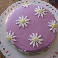 Daisy Cake I made this for my mother-in-law's 61st birthday. The pink is MMF-which I made on my own. The flowers are also MMF