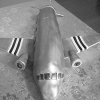 Airplane my first 3d cake. It was much harder than I ever thought itwould be.
