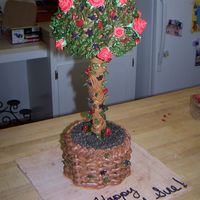 Topiary All buttercream. Gum paste roses.