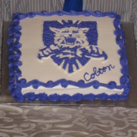Weber State University This is my son's 19th birthday cake. He asked for his school mascot on his cake. It is hand drawn in buttercream. The actual color was...