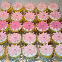 Shades Of Pink Daisies 