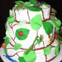 Bug Cake I did this for a friends 2 year old that loves bugs