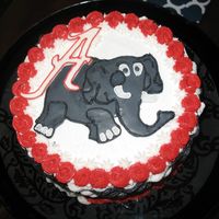 Roll Tide! Big Al Birthday cake for a Alabama Fan. Buttercreme basket weave. Elephant in fondant