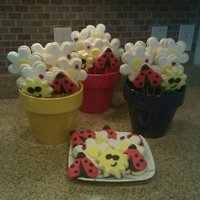 Bouquets I Made For My Neices To Give To Their Teachers This was only m y second attempt at cookie bouquets as I am more interested in cake making/ decorating. I am learning a lot and they were...