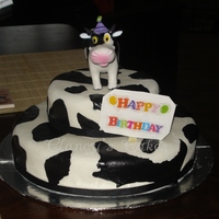 Cow Hide Cake Black & white fondant covered cake.