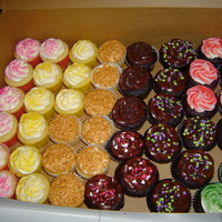 Wizard Of Oz Inspired Cupcakes 