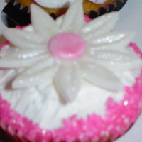 Daisy With Hot Pink Sugar Crystals 