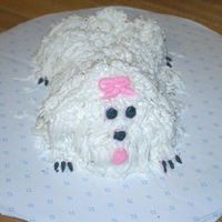Minipuppy Cake This is my minipuppy cake made from Little Debbies cakes and frosted with whipped buttercream. I had fun doing this, and gave it to my...