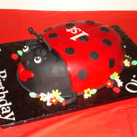 Ladybug Ladybug Miss Olivia loved her first birthday cake. Notice the eyelashes! I had fun making this one. Large oval pan without the mound cut off,...