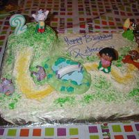 Dora Cake my daughters second birthday cake she was in to dora. the homemade frosting wasnt much for decorating but it was yummy we had very little...