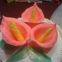 My First Calla Lillies First calla lillies for my mom and her twin sister's 73rd birthday cake. Thanks to Edna for her wonderful tutorials.