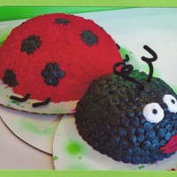 Lady Bug This was for a girl at work who loves lady bugs! For this i used the half ball pan for the lower half and the mini ball pan for the head....