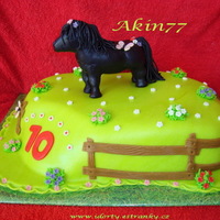 Minishateland - Pony 