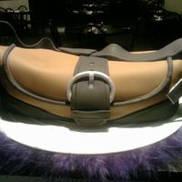 My 1St Purse Cake!! Coach I made this cake for my niece's 22nd birthday.