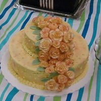 My 1St Class Cake This cake was for course 3 (Wilton).