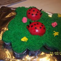 Cupcake Cake With Lady Bug Mini Cakes lady bug cupcake cake