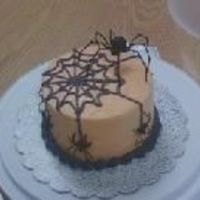 Spiders