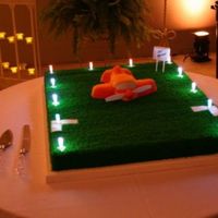 Weakley Field Lit This cake was for a couple who live in a "Fly-in Community". Bob Kier built the frame and wired the lights; Linda, his wife,...