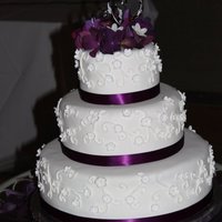 Delicate White On White 