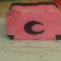 Purse Cake I wanted to attempt a purse cake so this is my version of it.