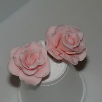 Fondant Roses My first ever fondant roses from the course 3, It was so much fun making them!!!
