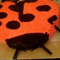 Giant Ladybug This had to be the biggest pain in the tooty. I am not a big fan of this cake, I have faith I will improve with time.