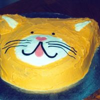 Here Kitty Kitty decorated with my 5 yr old you know the boss