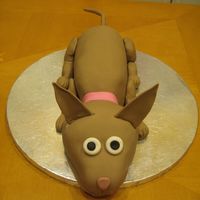 Chihuahua WASC cake covered in fondant.
