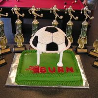 Boys Soccer Party Cake 