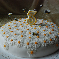 Prato Di Margherite Con Apette 