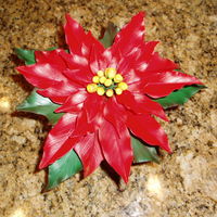 Poinsettia My first poinsettia flower... I did this flower after watching tonedna's poinsettia dvd. Thanks for looking.