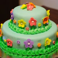 Spring Cake Buttercream and all mm fondant. I made this for my Wilton Class 3 final.