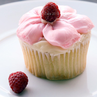 Raspberry Cupcakes Raspberry vanilla bean cupcakes with raspberry buttercream