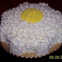 Daisy This is a daisy with buttercream frosting.