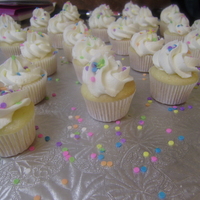 Mini Cupcakes just got my M1 tip, L-O-V-E IT!!!! First time, I think it went well! French vanilla cake, buttercream icing