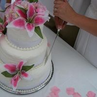 Wedding Cake I did this cake for my friends wedding. It's all buttercream with real ribbons and silk flowers.