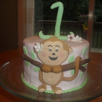 Girly Monkey Cake I made thiis small monkey cake for my youngest niece on her 1st birthday. You can see a lot of lumps and bumps on the cake because I spent...