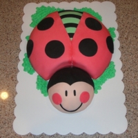Lady Bug For First Birthday i made this from the birthday girl's party theme.