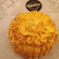 Wmi Demo Day @ Michaels Got this inspiration from one of the dresses i did on my Southern Belle Doll Cakes.