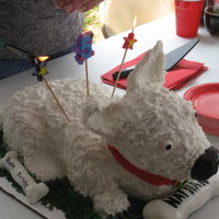 Bolt Cake First attempt at a 3d cake. Made for my nephew's 5th Birthday.