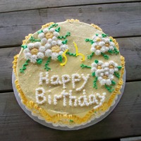 Birthday Cake cake done in bc icing