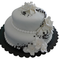 Simple Wedding Cake 2 tier wedding cake