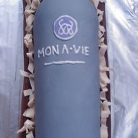 6-8-09_Bottle.jpg this was made for a mona vie tasting party a friend of mine held
