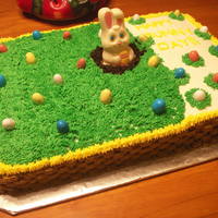 Bunny Cake I made this for easter and I just loved how it turned out. The eggs and bunny were candy and icing is buttercreme